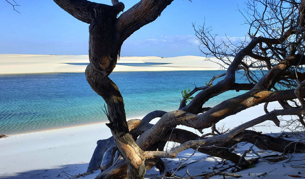 Lençóis Maranhenses